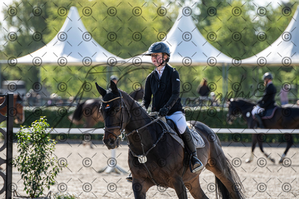 KPT_4552 | andre_photographic