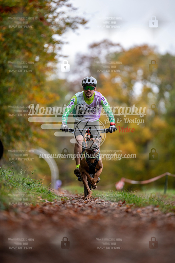 DBT_DAKM_SA_4_11_2023_Bike-47 | PayLife
