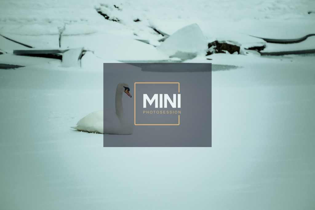 20230129-DSC_2051ssss_01 | Michael Nibel Fotografie - Realisiert mit Pictrs.com