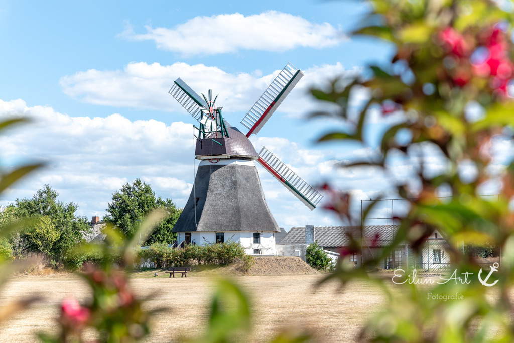 EAF_5241 | Wrixumer Mühle