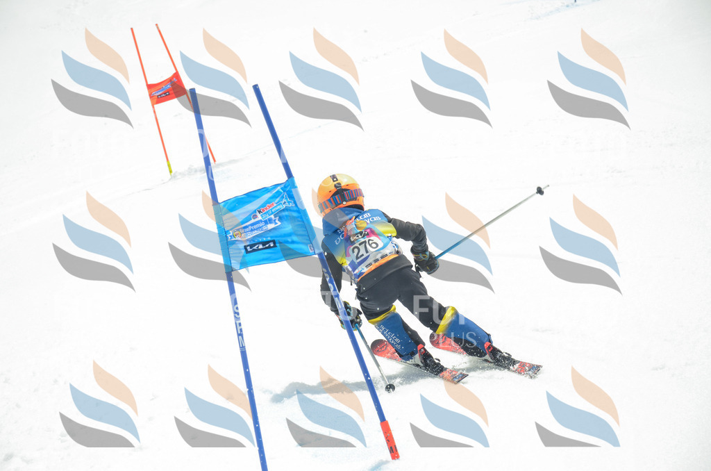 _ELE7883 | holidayphoto