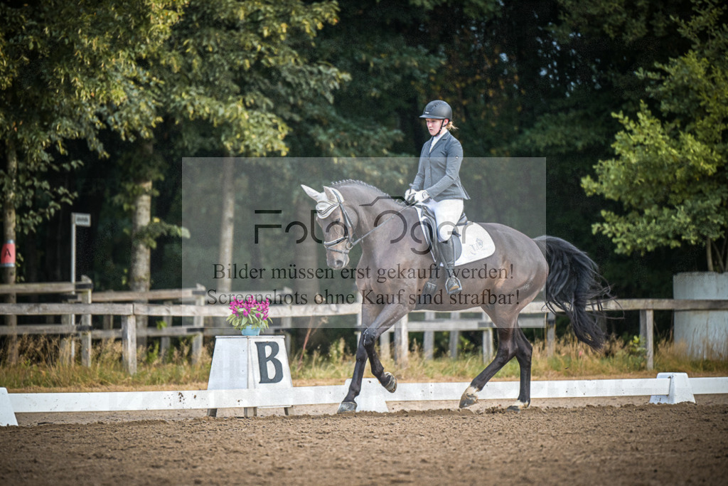 DOS_0568 | Entdecke hochwertige Reitturnierfotos von Foto Oger. Professionell, emotional und authentisch – jetzt Lieblingsmomente im Shop bestellen.Deutschlandweite Turnierfotografie. - Realisiert mit Pictrs.com