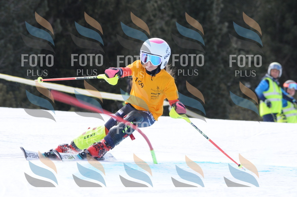 C7373 | holidayphoto