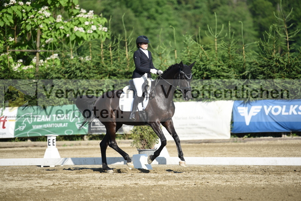 DSC_7057 | equestrian-live-com