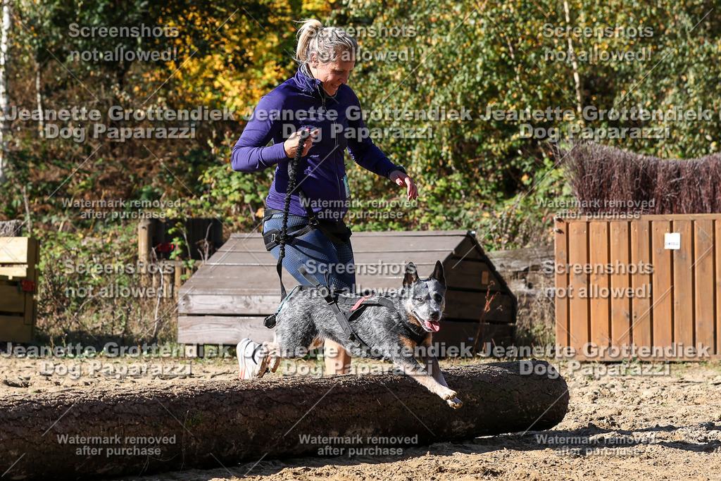 Dog Paparazzi - Strongdog 10-25-4646 | Dog Paparazzi Jeanette Grottendiek Fotografie & Videografie - Realisiert mit Pictrs.com