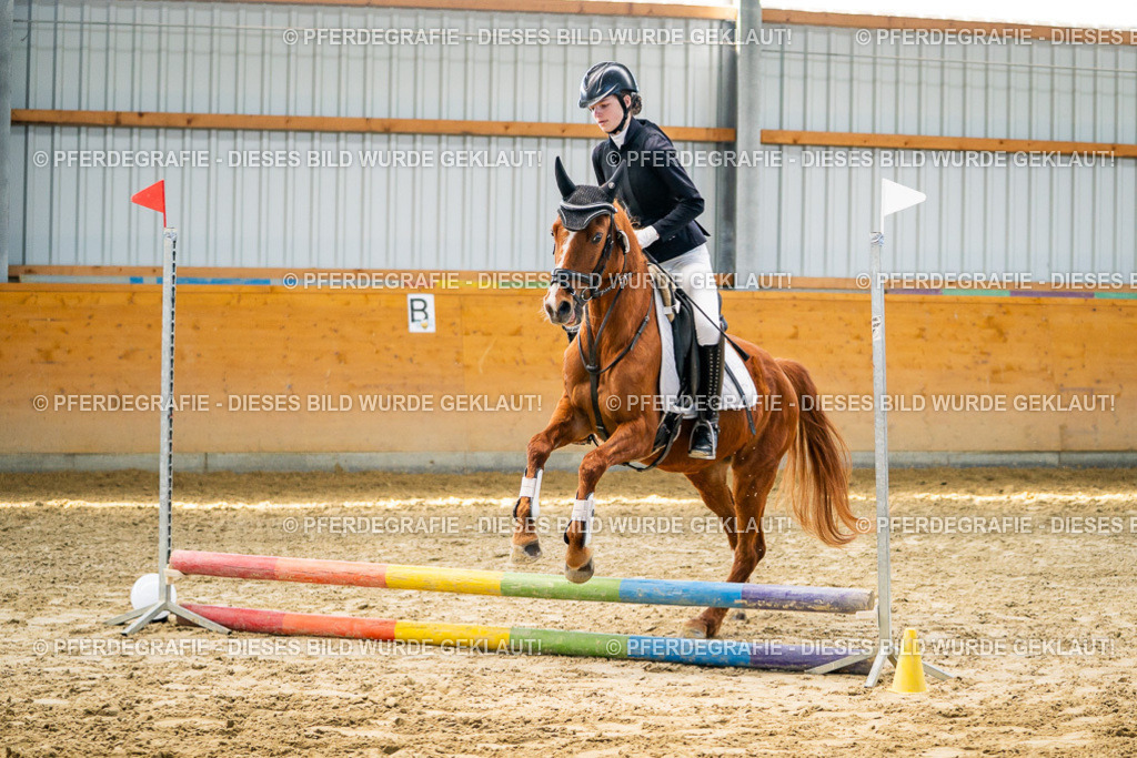 DSC01466 | Pferdegrafie