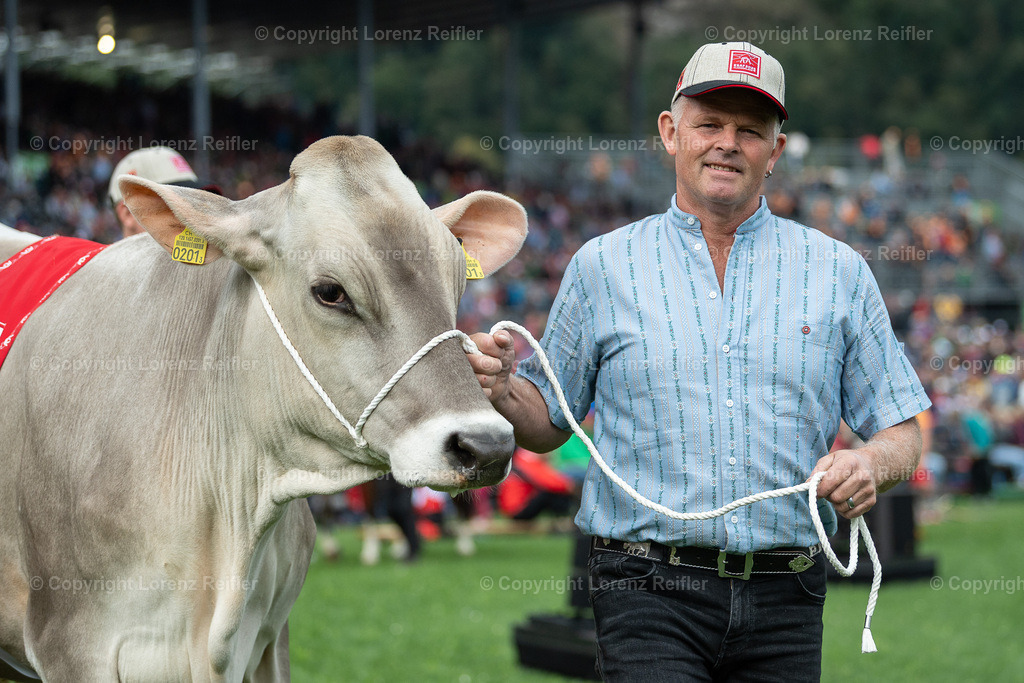 Schwingen -  ESAF 2025 Samstag | Mollis, 30.8.25, Schwingen - ESAF Samstag.