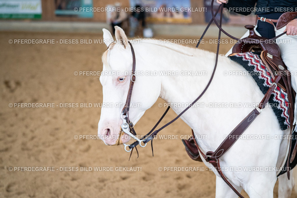 DSC02909 | Pferdegrafie