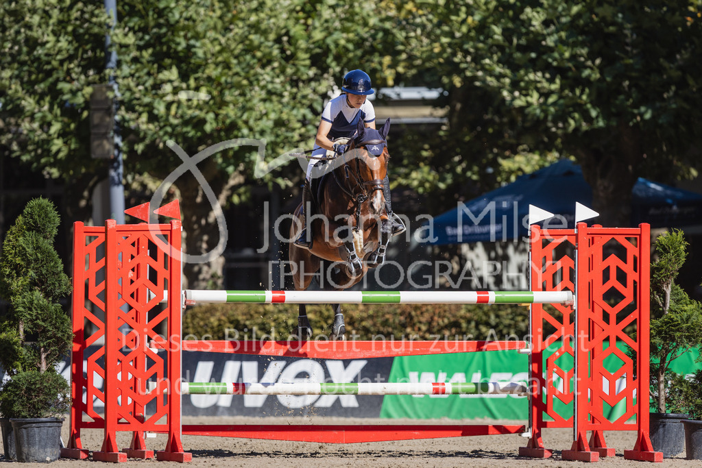 230909_OWLCh_Amateur-L-909 | Deine schönsten Turniermomente als professionelle Fotos! Entdecke hochwertige Pferdesport-Fotografie im Online-Shop. Jetzt Fotos finden & bestellen!