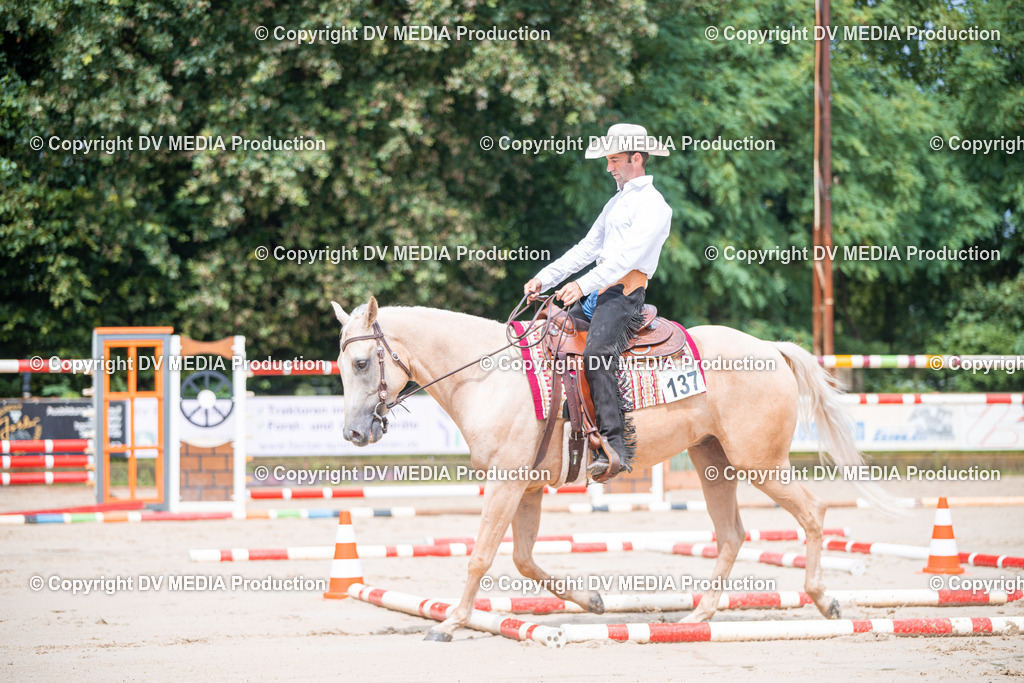 ZS2_3890 | dv-media-shop - Realisiert mit Pictrs.com