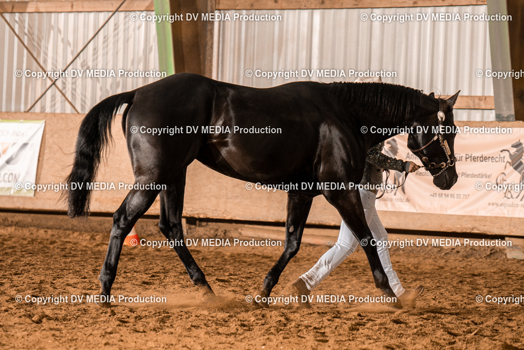 BAL01345 | dv-media-shop - Realisiert mit Pictrs.com