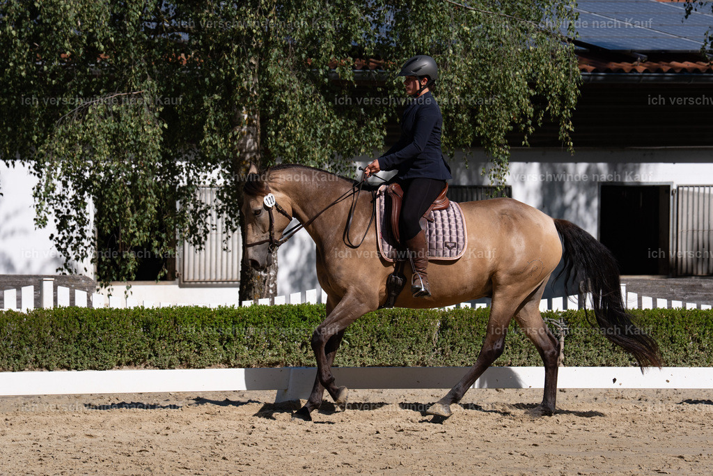 WA_DR_120_SinaFilmArt_IN01470 | working equitationturnier fotograf videograf stoibphotography marixx film working equitation deutschland reitsport turnierfotografie eventfotografie equestrian events
