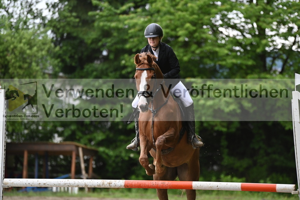 DSC_0559 | equestrian-live-com