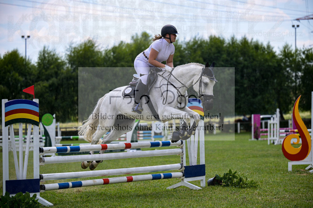 Reitturnier Voxtrup | Entdecke hochwertige Reitturnierfotos von Foto Oger. Professionell, emotional und authentisch – jetzt Lieblingsmomente im Shop bestellen. - Realisiert mit Pictrs.com