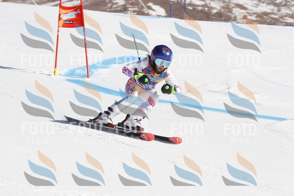 _U3G8950 | holidayphoto