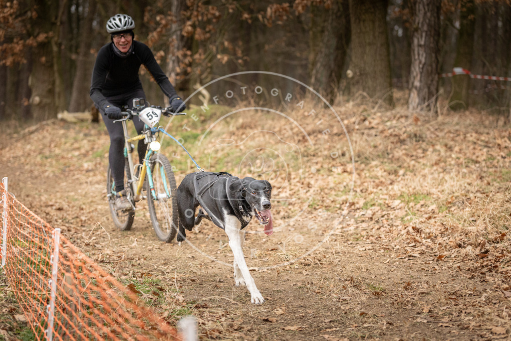 Pfotenfotografie_DV3A3007 | Hundefotografie, Tierfotograf, Pfotenfotografie, Fotoshooting Hund, Hunde Portrait, Hundesport, Hundeportraits, Heideshooting, Hunde, Sportfotograf, Hundefotograf, Turnierhundsport, THS,  - Realisiert mit Pictrs.com