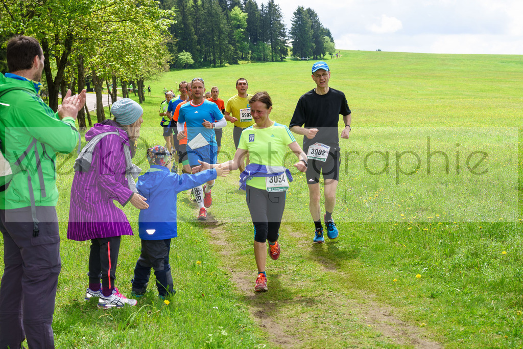 Rennsteiglauf 2017 | Neuhaus/Rwg. - Schmiedefeld am 19. Mai 2017