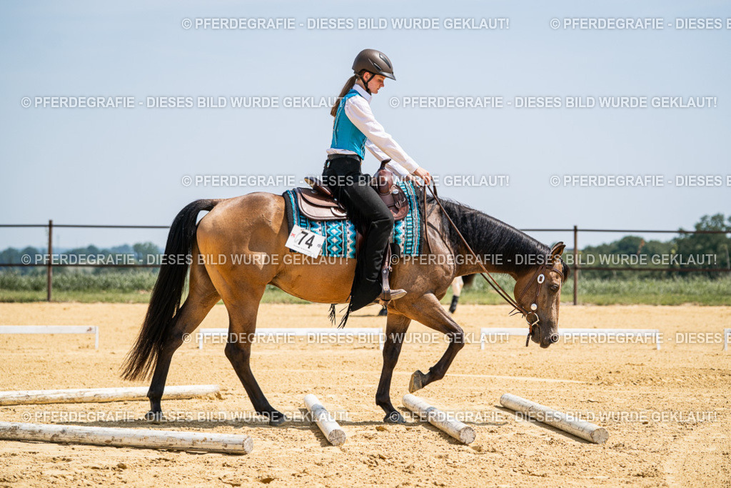 DSC01048 | Pferdegrafie