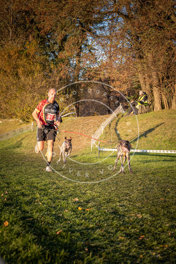 CaniXpix_0L8A1461 | Hundefotografie, Tierfotograf, Pfotenfotografie, Fotoshooting Hund, Hunde Portrait, Hundesport, Hundeportraits, Heideshooting, Hunde, Sportfotograf, Hundefotograf, Turnierhundsport, THS,  - Realisiert mit Pictrs.com