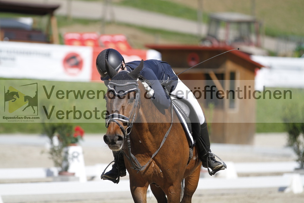 _MG_6670 | equestrian-live-com