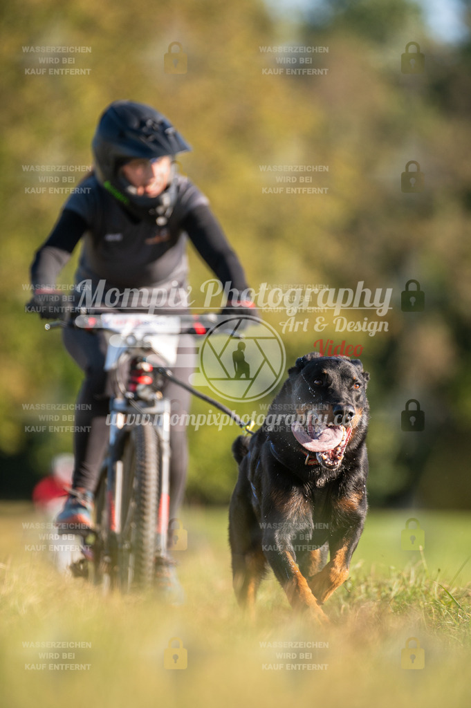 CDLBDB_15_10_2023_Dimanche-241 | PayLife