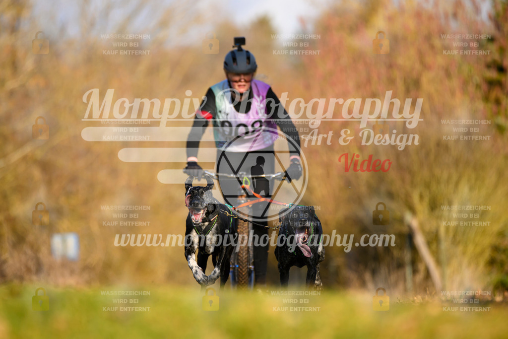 MompixPhotography_10Schwabentrail2026_SO_Scooter-8 | PayLife