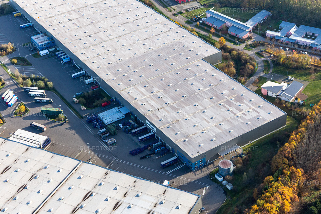 Luftbild: Gewerbegebiet Horst mit Magna Exteriors, Zufall Logistics, STS Group und Thermo Fisher im Ortsteil Minderslachen in Kandel im Bundesland Rheinland-Pfalz in Deutschland. Foto: IMG_123856.jpg vom 21.11.2020 durch Werner Riehm/FLY-FOTO.de