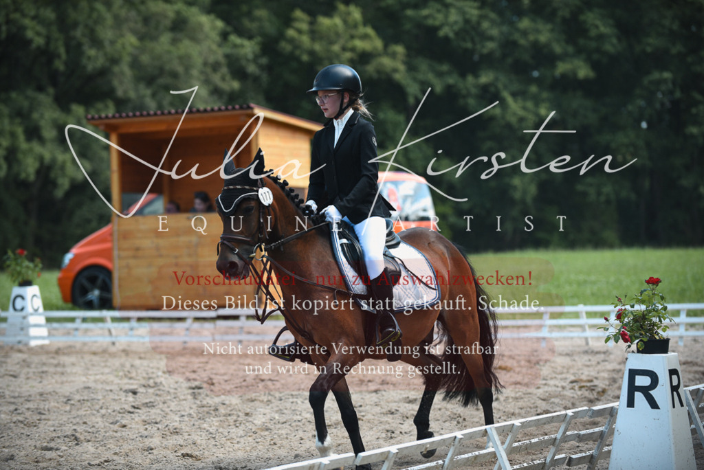 DSC_2504 | Pferde- und Turnierfotografie in Westsachsen. Pferdeportraits, Auftragszeichnungen und intuitive Kunst.