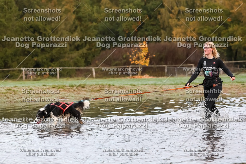 Dog Paparazzi - Strongdog 10-25-6409 | Dog Paparazzi Jeanette Grottendiek Fotografie & Videografie - Realisiert mit Pictrs.com