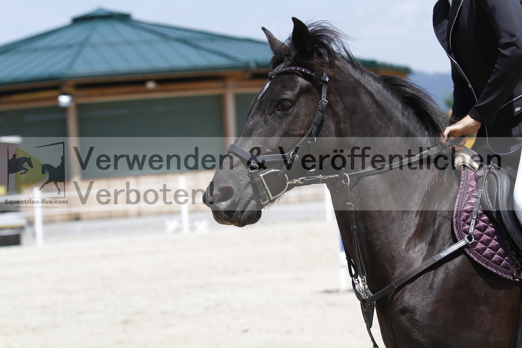 _MG_6637 | equestrian-live-com