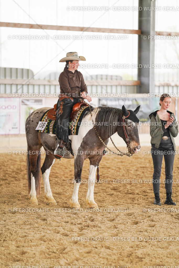 DSC02227 | Pferdegrafie