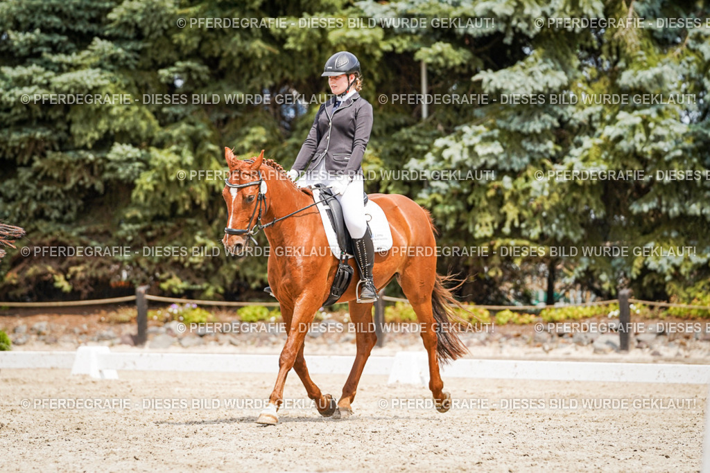 DSC03722 | Pferdegrafie