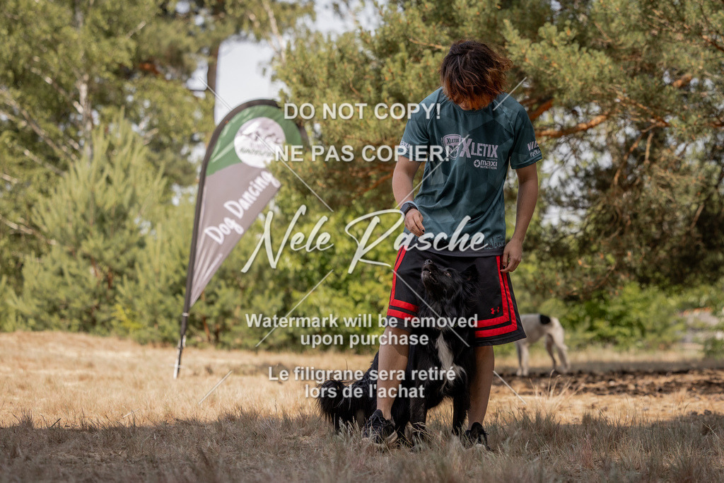 nelerasche_soDD2_313 | nelerasche