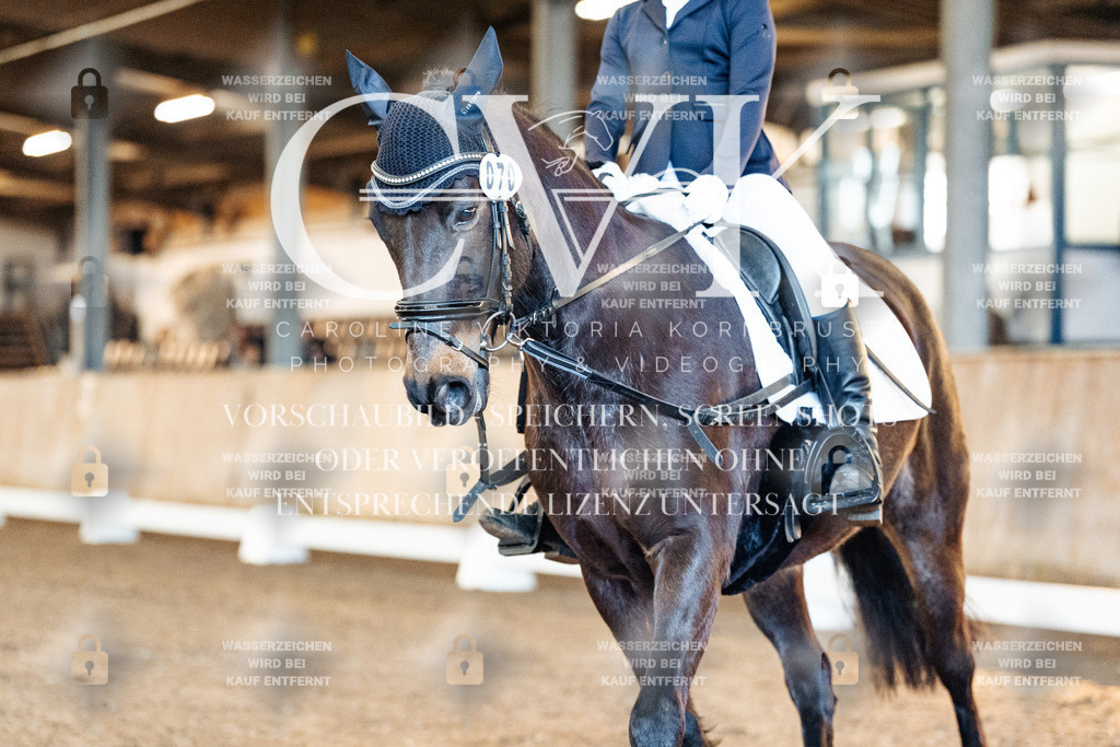 CK906755 | Turnierfotografie Pferdefotografie Trier Rheinland-Pfalz Pferdesport Reitsport Tierfotografie Sportfotografie Pferdevideo Pferdevideografie Equestrianvideography equestrianphotography  - Realisiert mit Pictrs.com