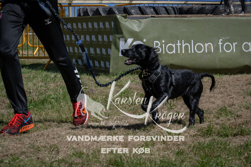 1204_ZZ93844 | kk-dogfotos