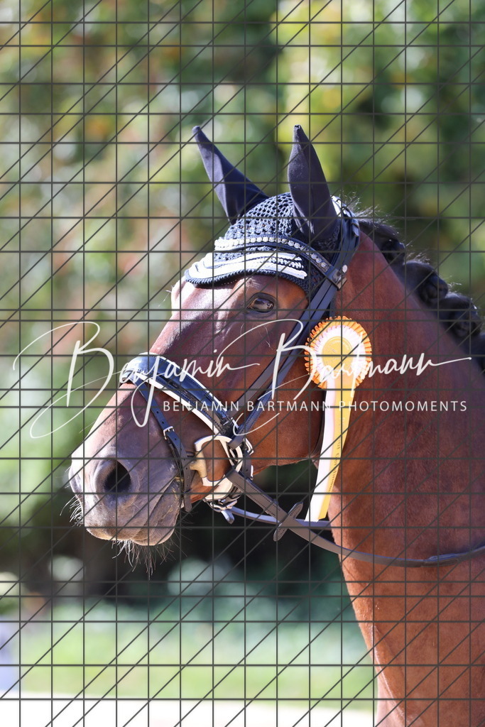 AZ2A2896 | Benjamin Bartmann Photomoments