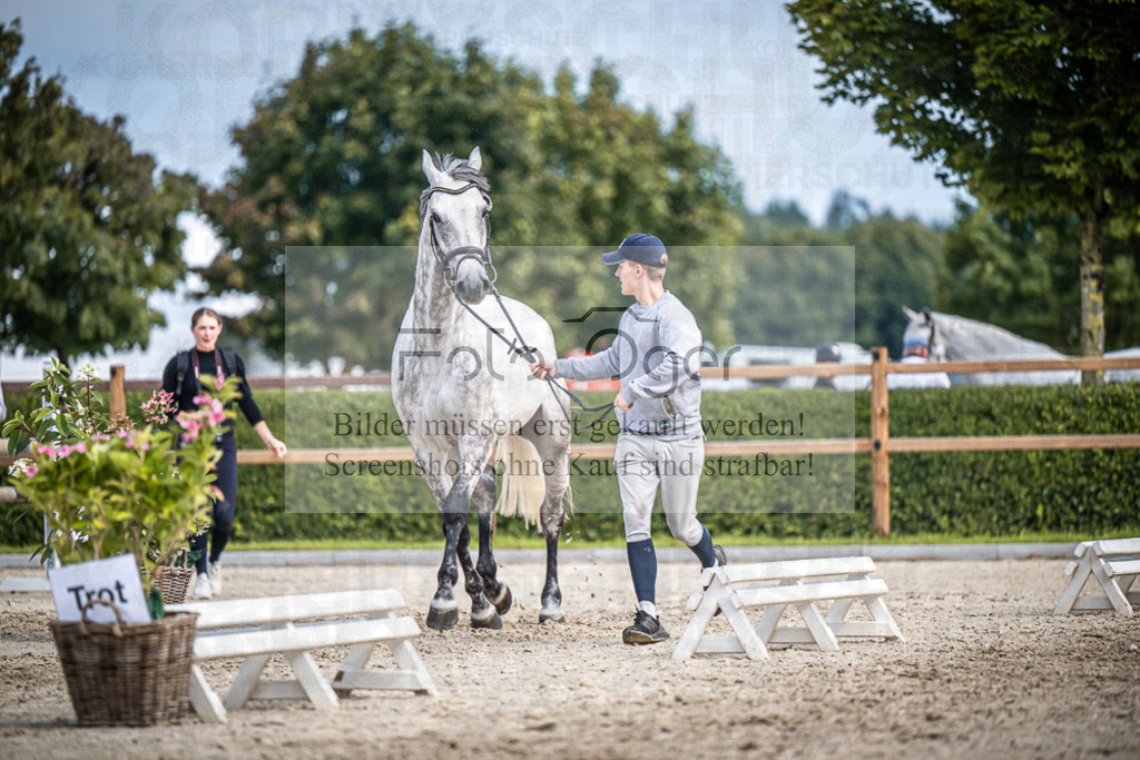 DOS_1873 | Entdecke hochwertige Reitturnierfotos von Foto Oger. Professionell, emotional und authentisch – jetzt Lieblingsmomente im Shop bestellen.Deutschlandweite Turnierfotografie. - Realisiert mit Pictrs.com