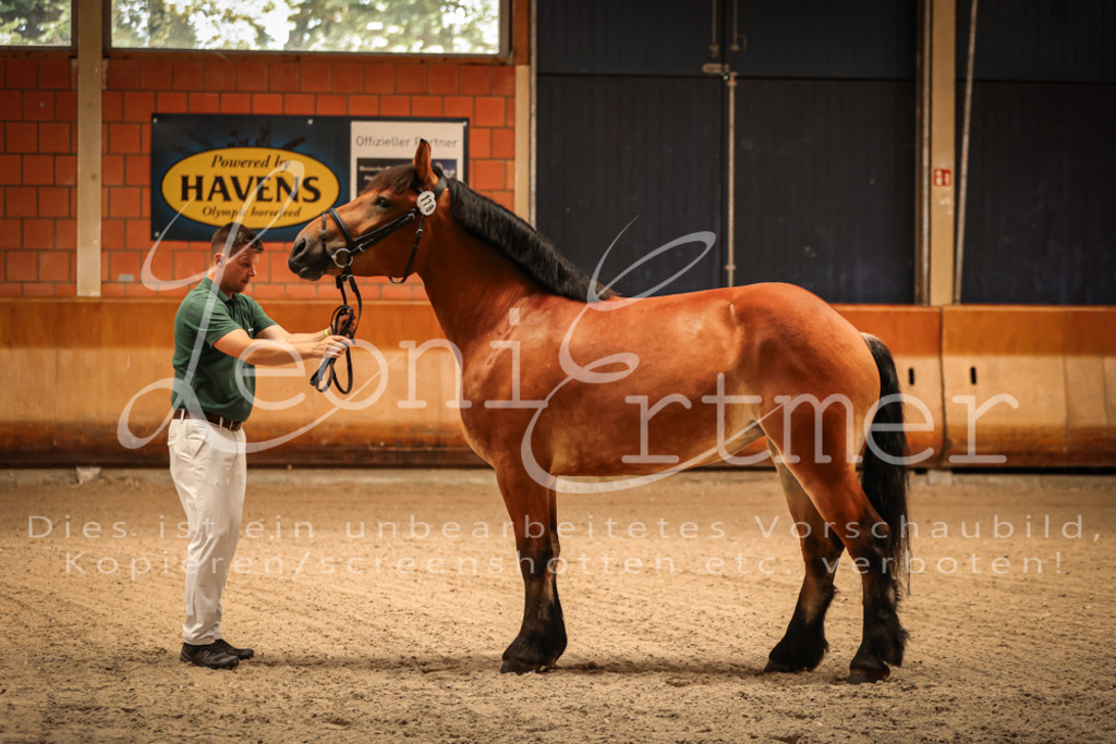 SaFL00006 | Leoni Ertmer Photography - Realisiert mit Pictrs.com