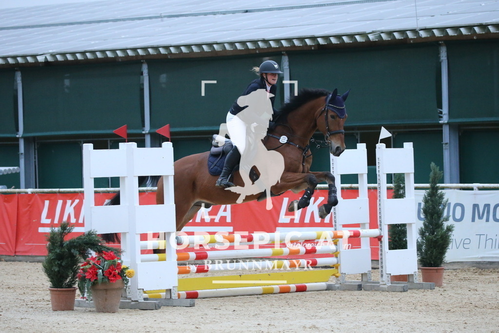 DL2Q3729 | Willkommen bei Brunnmayr - Design & Fotografie – Ihrem Spezialisten für Reitturniere und Pferdeveranstaltungen in Oberösterreich, Salzburg und Bayern! Seit über 17 Jahren sind wir leidenschaftlich dabei.