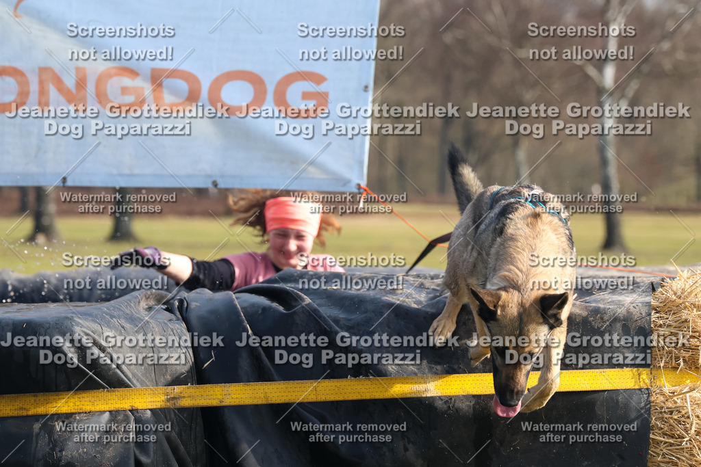 Dog Paparazzi - Strongdog North Mrz26-1778 | Dog Paparazzi Jeanette Grottendiek Fotografie & Videografie - Realisiert mit Pictrs.com