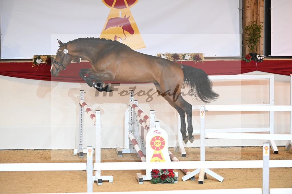 Kat-Nr. 5 Carrera VDL_Schep_1230751 | hf-fotografie - Realisiert mit Pictrs.com