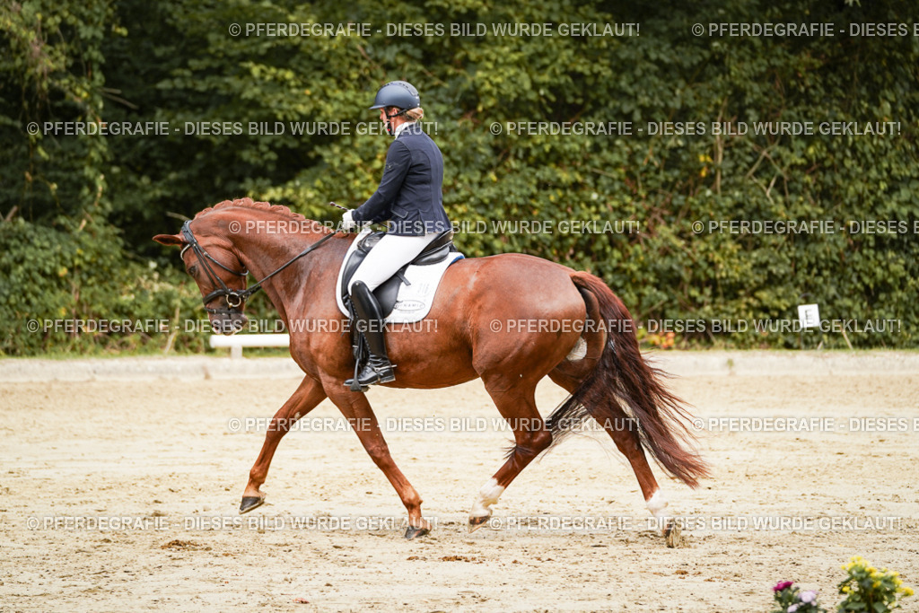 DSC09347 | Pferdegrafie