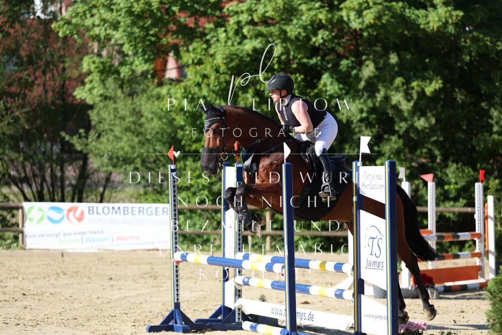 IMGS5646 | pl-fotografie