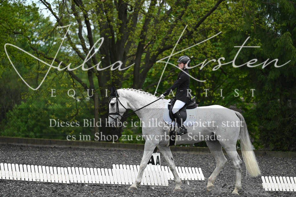 20230512_JK-Röhrsdorf-07-340 | Pferde- und Turnierfotografie in Westsachsen. Pferdeportraits, Auftragszeichnungen und intuitive Kunst.