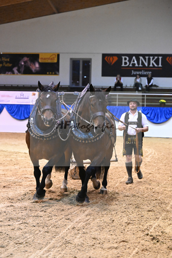 Schauprogramm_54222516 | hf-fotografie - Realisiert mit Pictrs.com