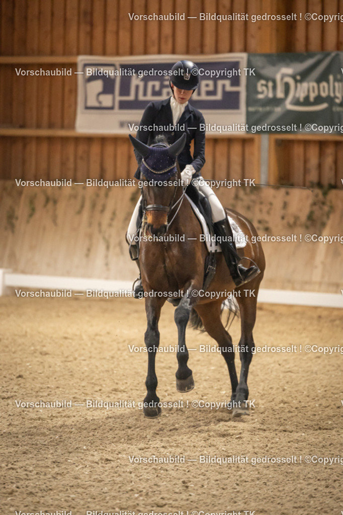 _D5A3662 | Emotionale Pferde- & People-Fotografie rund um Heidelberg, Leimen & Umgebung. Natürliche Fotos von Pferd, Mensch & Familie. Jetzt Termin sichern!