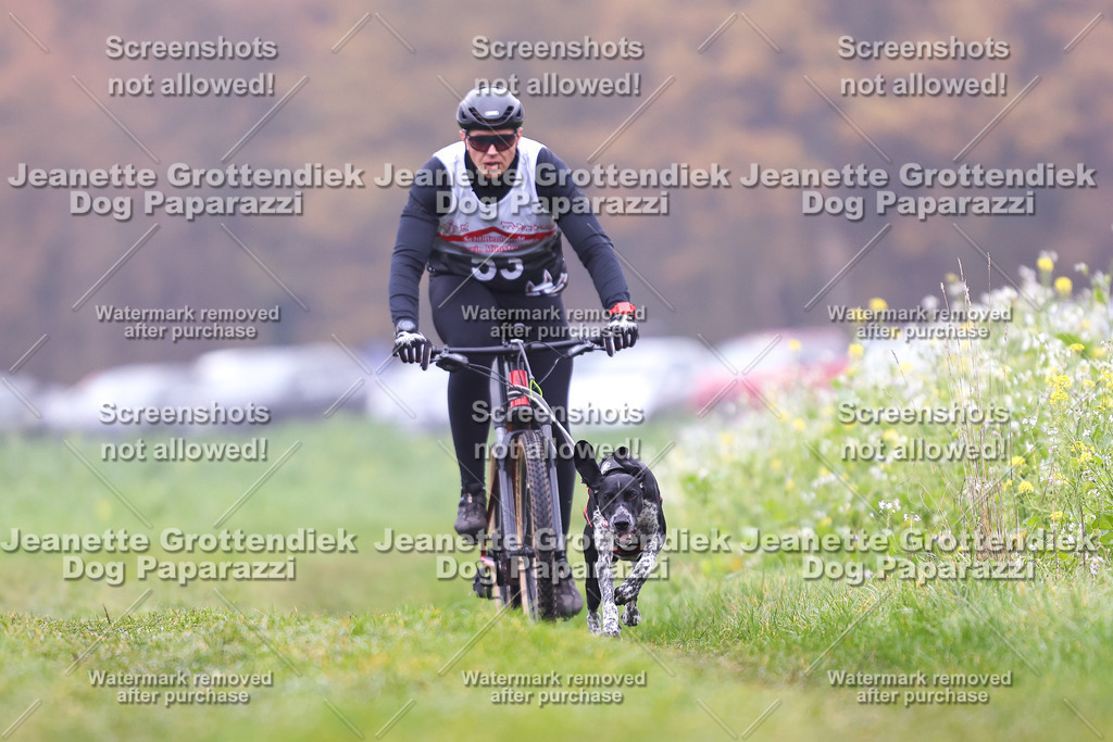 Dog Paparazzi - Visbeck 25 -145 | Dog Paparazzi Jeanette Grottendiek Fotografie & Videografie - Realisiert mit Pictrs.com