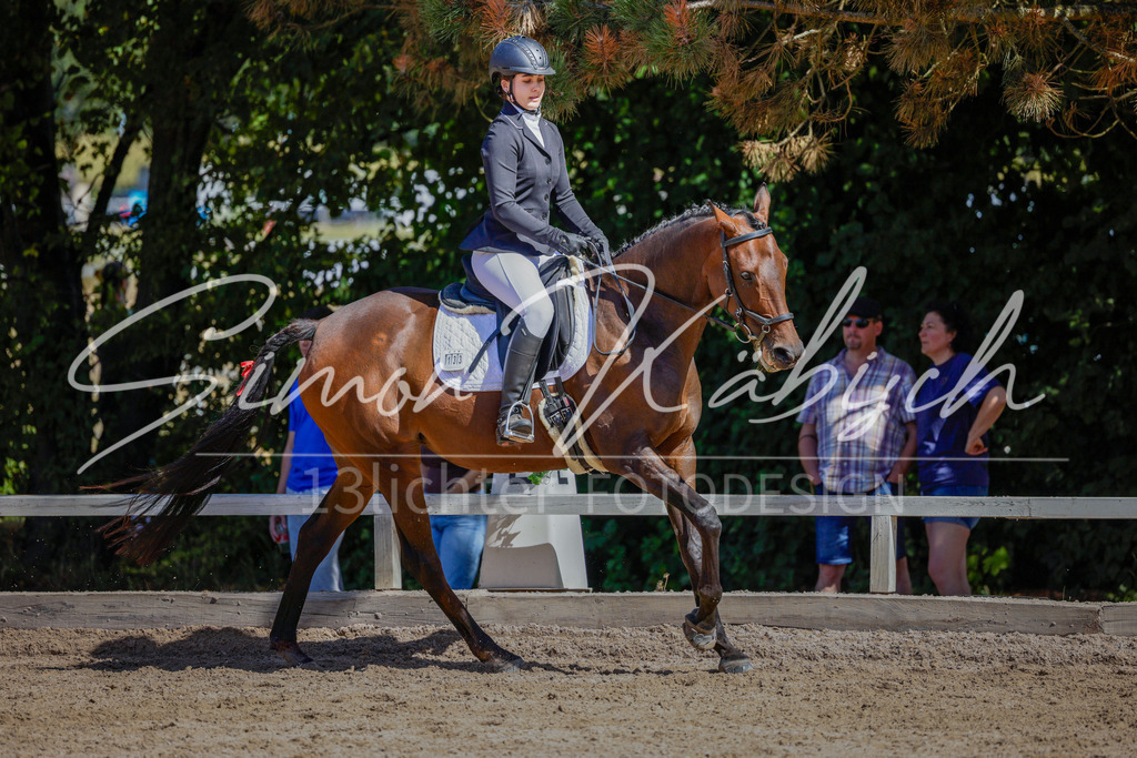 20250906-_3LI4639 | Tierfotografie Pferde, Hunde, Katzen, Haustiere.
Turnierfotografie Reitturniere, Reiten, Springreiten, Dressur in Hanau, dem Main-Kinzig-Kreis und dem Rhein-Main- Gebiet um Frankfurt