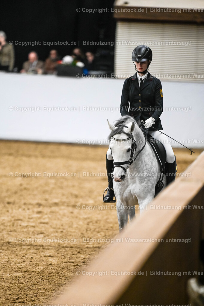 20260307_Hengstvorstellung-Marbach_0421 | equistock