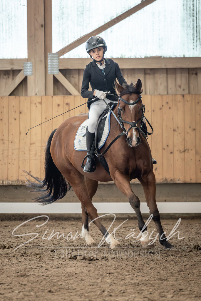 20251011-_3LI8332 | Tierfotografie Pferde, Hunde, Katzen, Haustiere.
Turnierfotografie Reitturniere, Reiten, Springreiten, Dressur in Hanau, dem Main-Kinzig-Kreis und dem Rhein-Main- Gebiet um Frankfurt